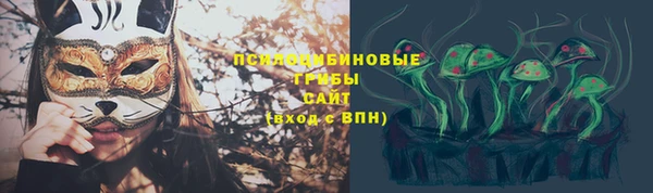 гидра Алексин