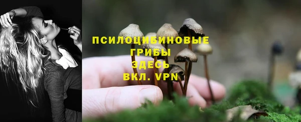 гидра Алексин