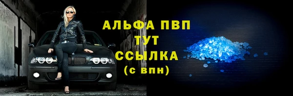 гашик Инсар