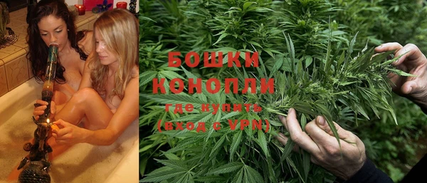 гидра Алексин