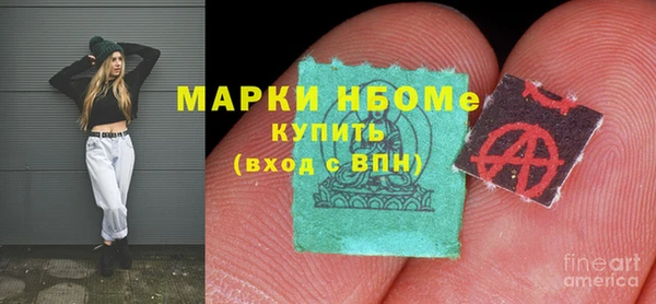 шишки Алзамай