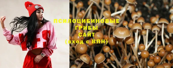 не бодяженный Абаза