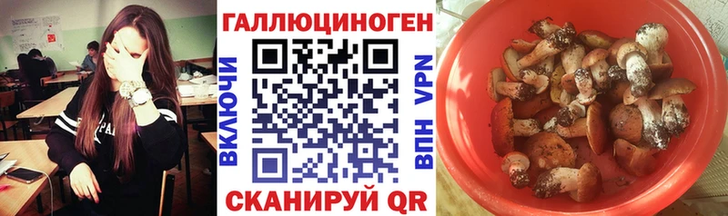 Галлюциногенные грибы мицелий  наркотики  Луга 
